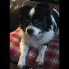 kjmacdonald79